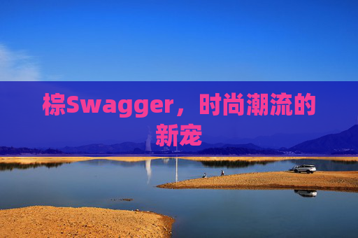棕Swagger，时尚潮流的新宠